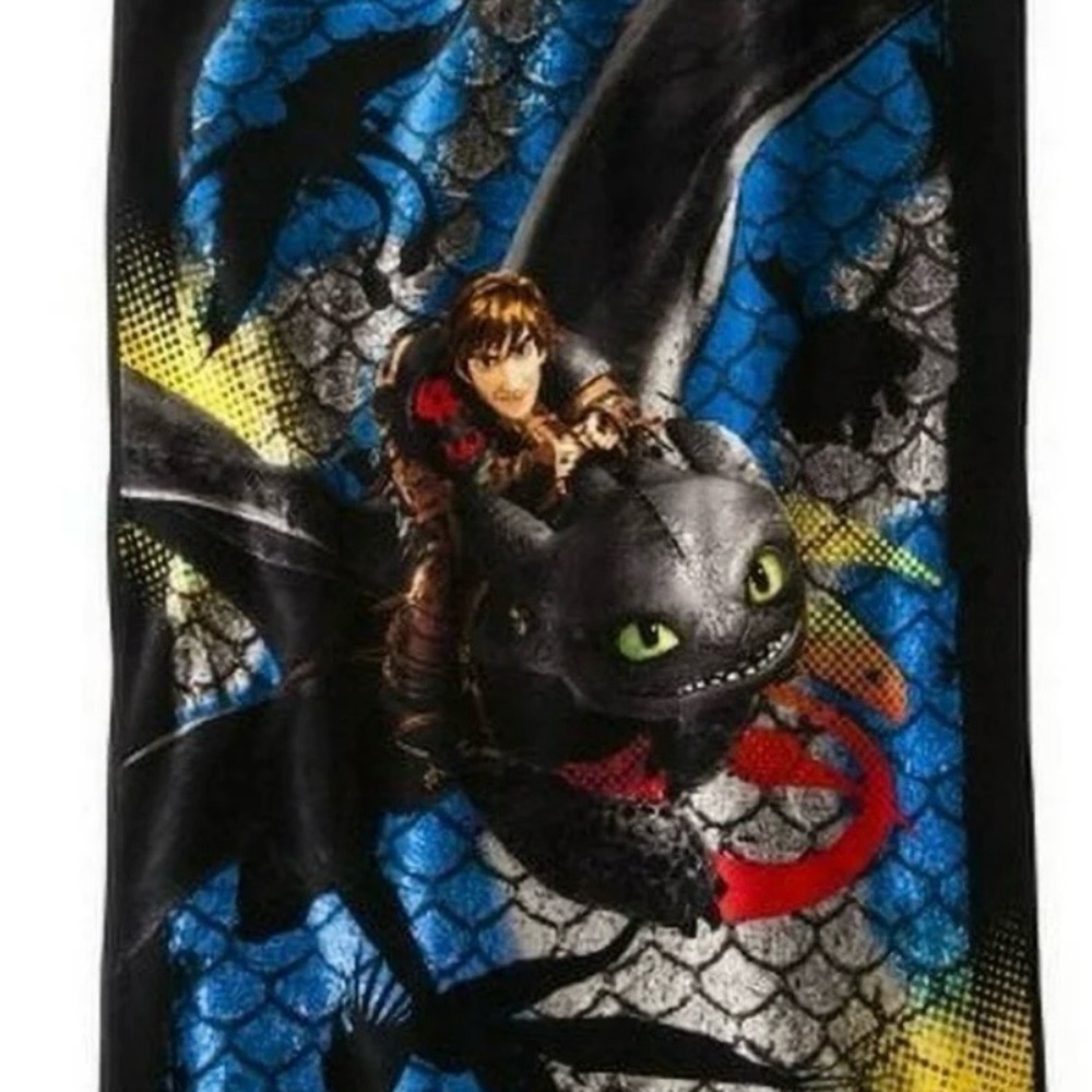 How to Train Your Dragon 2 Dragon Scale Plush Throw 46x60